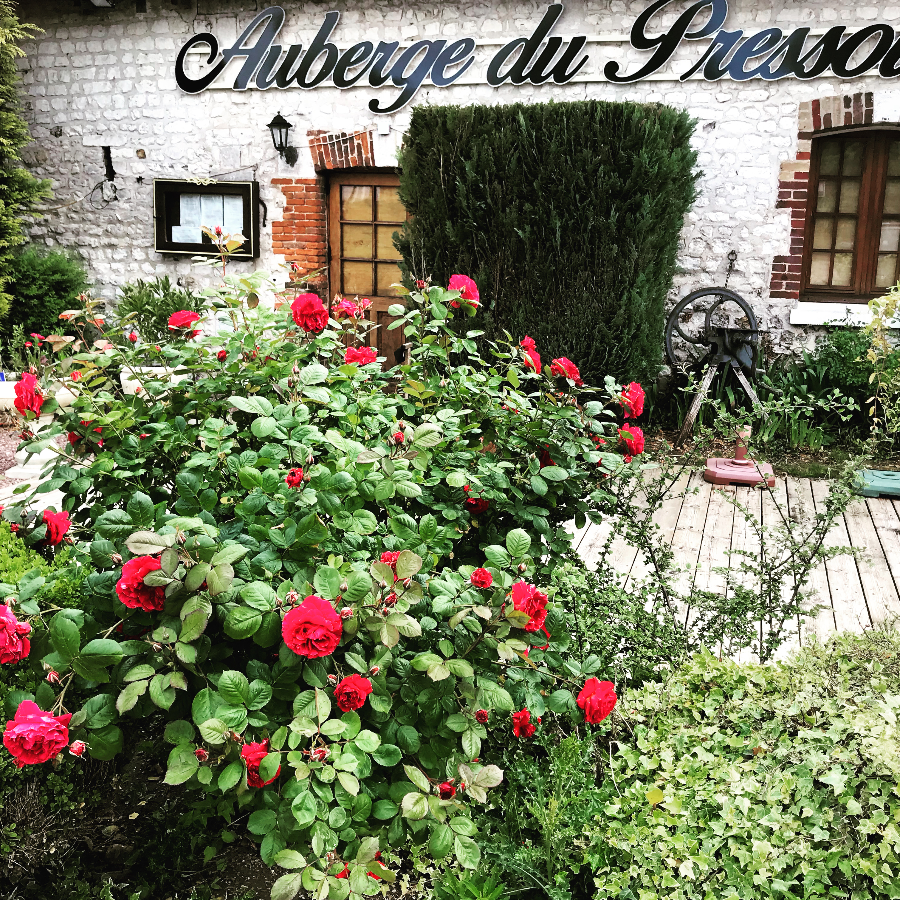 Restaurant  Auberge du Pressoir